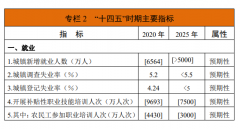 重磅！《人力資源和社會(huì)保障事業(yè)發(fā)展